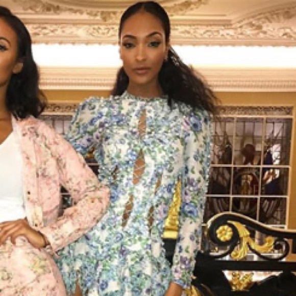 Zimmermann Whitewave Laced Flip Dress - Picture 16 of 16